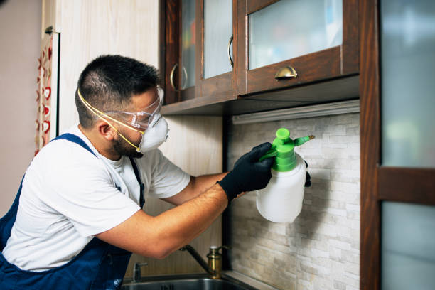 Best Local Pest Control Services  in Woodbury Heights, NJ