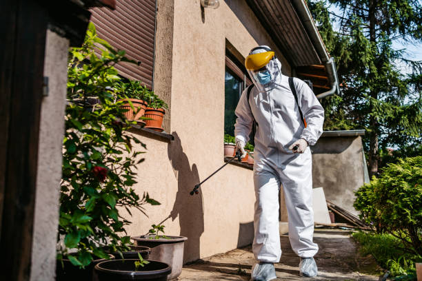 Best Cockroach Control Services  in Woodbury Heights, NJ