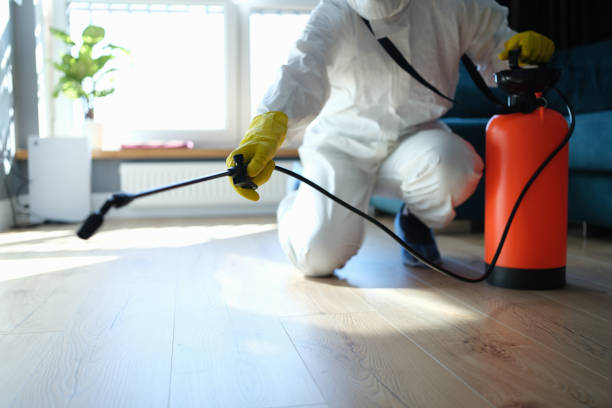 Best Bed Bug Extermination  in Woodbury Heights, NJ