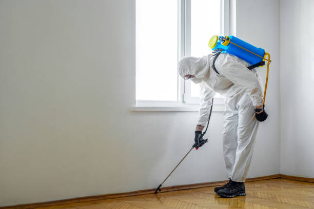 Best Exterminator Services  in Woodbury Heights, NJ