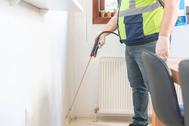 Best Wasp Removal Services  in Woodbury Heights, NJ