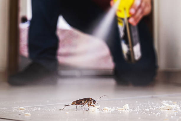 Best Residential Pest Control  in Woodbury Heights, NJ