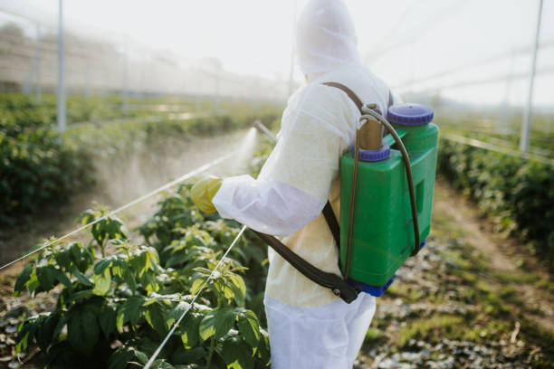 Best Mosquito Control Services  in Woodbury Heights, NJ